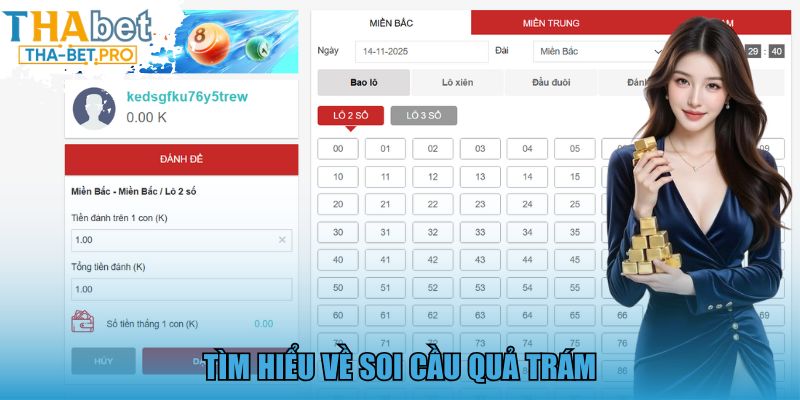 Tìm hiểu về soi cầu quả trám